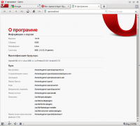 Opera 10.70.6428  Linux