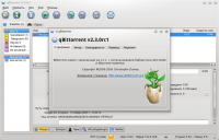 qBittorrent 2.5.1  Linux