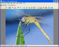 XnView 1.97.6 Complete version