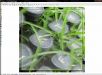 ACDSee 2009 Photo Manager 11.0.113  