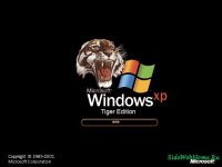 Загрузочный экран - Windows XP Tiger
