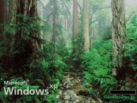 Загрузочный экран для windows - Природа!