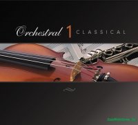 Prime Loops - Orchestral & Classical String Loops (сэмплы оркестра)