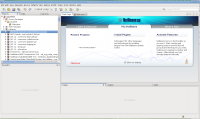 NetBeans IDE 6.9.1  Linux