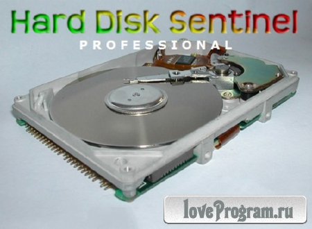 Hard Disk Sentinel Pro 4.20 Build 6014 (2013_ / )