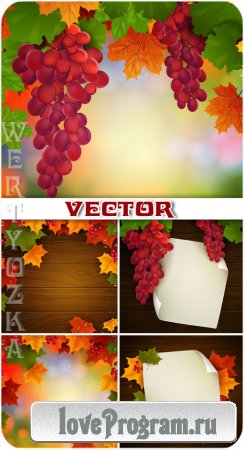  ,   / Bunches of grapes, autumn leaves - vector