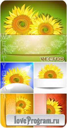       / Sunflowers - vector clipart