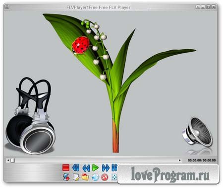FLVPlayer4Free 5.3.0.0 ML/Rus Portable