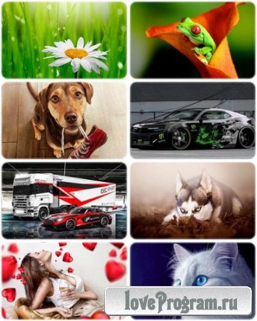 Wallpapers Mixed Pack 71