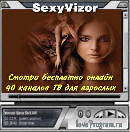 SexyVizor 5.27.05 RUS Portable