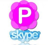 Pamela for Skype Professional/Business 4.8.0.42 [Multi/Rus]