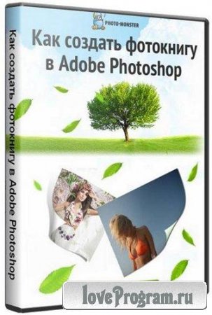     Adobe Photoshop (2012)