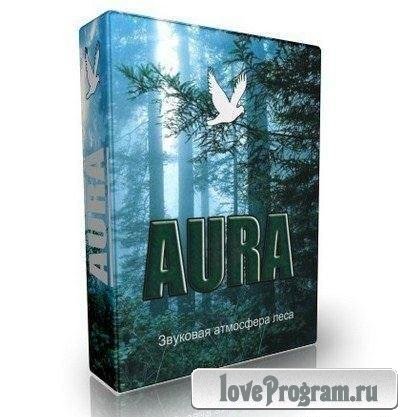 Aura 2.7.4t.163