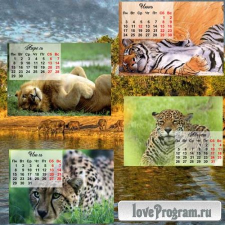 Календари - дикие кошки