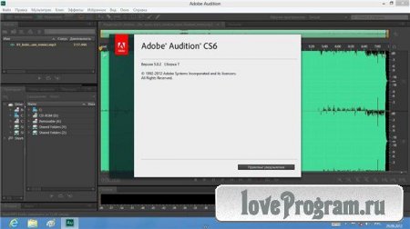 Adobe Audition CS6 5.0 build 708 + Update 5.0.2 build 7 (2012/ML/RUS)