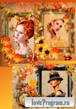 Рамки для фото – Осень золотая наступила