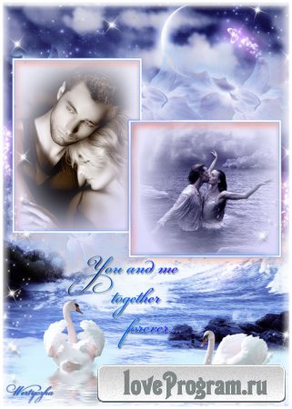 Рамка романтичная для двух фотографий с прекрасными белыми лебедями 