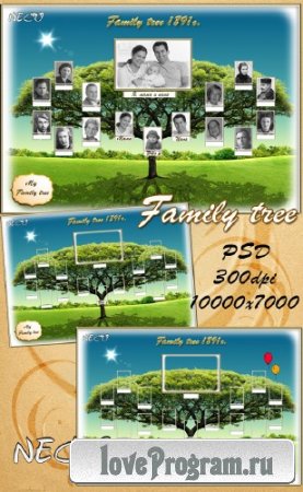  Стильный шаблон - Генеалогического(семейного) дерева в PSD формате 