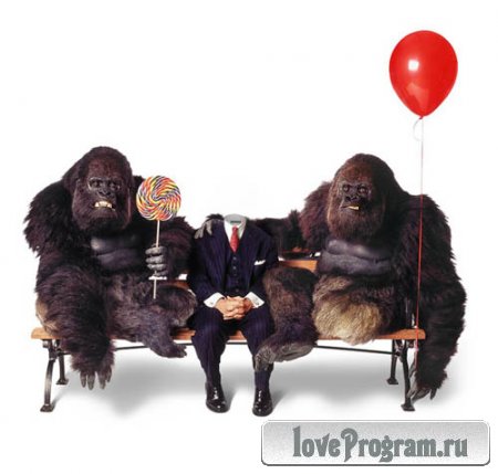  Мужской шаблон - с двумя гориллами 