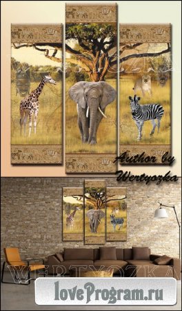 Слон, жираф, зебра, лев, Африка - Модульная картина триптих