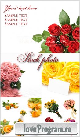 ,   -   / Flowers, bouquets, roses