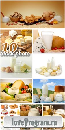    / Products, milk, cheese, bread, eggs
