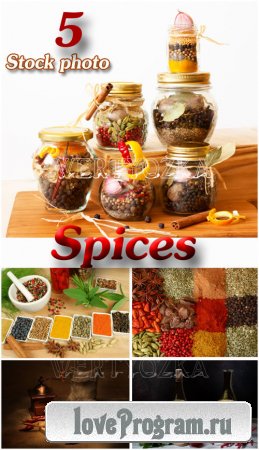 / Spice, jars with spices