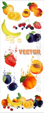 Фрукты в векторе, абрикос, банан, слива, клубника / Fruits vector, apricot, banana, plum, strawberry
