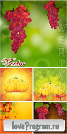 Осенние фоны с виноградом и тыквой / Autumn background with grapes and pumpkin - vector
