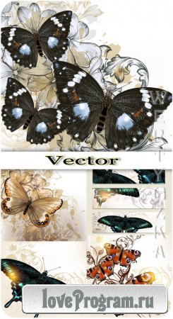      / Butterflies and backgrounds with flowers - vector clipart