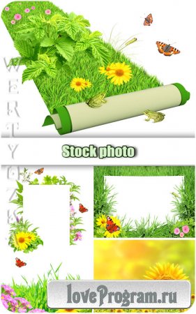 Цветы, зеленая трава и бабочки / Flowers, green grass and butterflies - Raster clipart