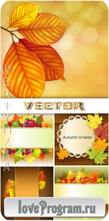 Векторные фоны с осенними листьями и фруктами