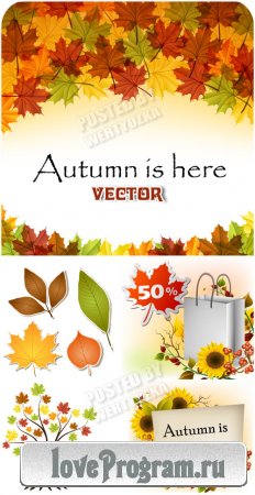 Осенние фоны, листья, цветы, деревья / Autumn backgrounds - vector