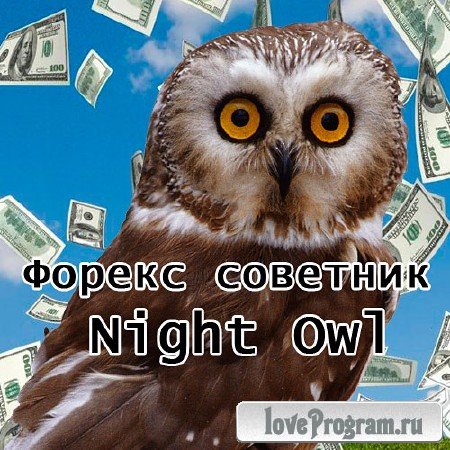 Forex  Night Owl 