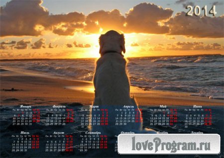  Красивый календарь - Собака у океана очарована закатом 