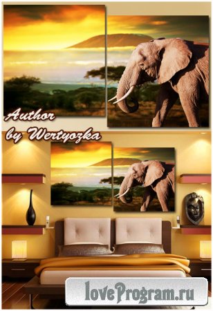 Модульная картина, диптих - Слон,чудесный закат