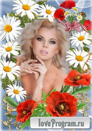 Женская цветочная рамка для фото - Белые ромашки и красные маки 