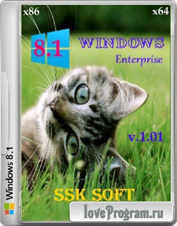 Windows 8.1 Enterprise SSK Soft x86/x64 v.1.01 (2014/RUS)