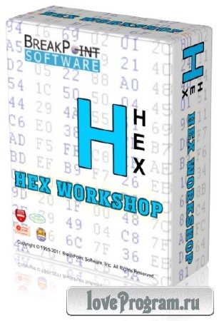 Hex Workshop Hex Editor Professional 6.8.0.5419 Final