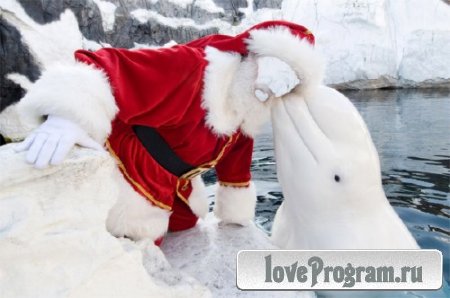  Шаблон для фотошопа - Дед мороз и белый дельфин 