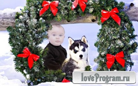  Шаблон для фотомонтажа - Ребенок и красивая хаски под рождественским венком 