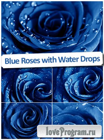 Синяя роза с каплями - Красивый фотосток