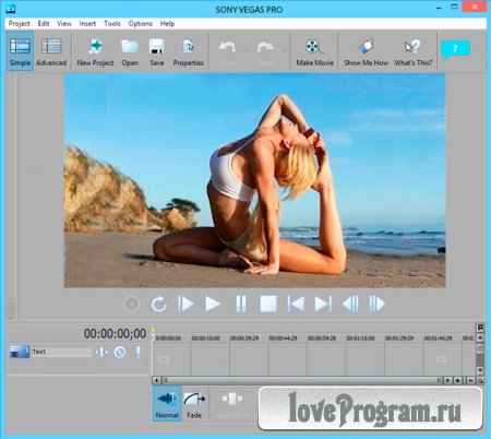    SONY VEGAS PRO - 