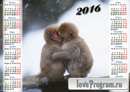  Настенный календарь - Две маленькие обезьянки греются зимой 