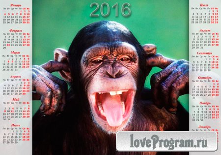 Настенный календарь - Прикольная шимпанзе (png, psd)
