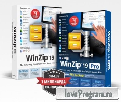 WinZip 19.0 Pro Build 11293 [32x64 bit]