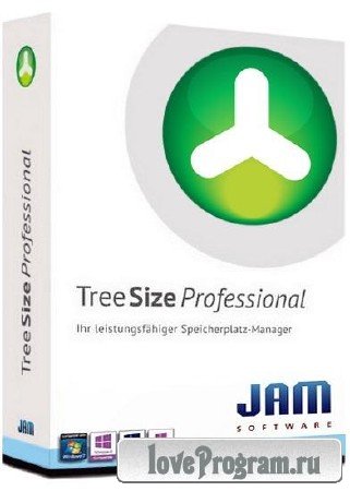 TreeSize Professional 7.0.1.1373 + Rus