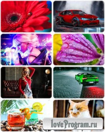 Wallpapers Mixed Pack 73