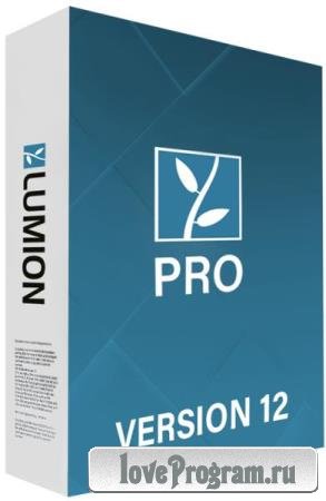 Lumion Pro 12.0