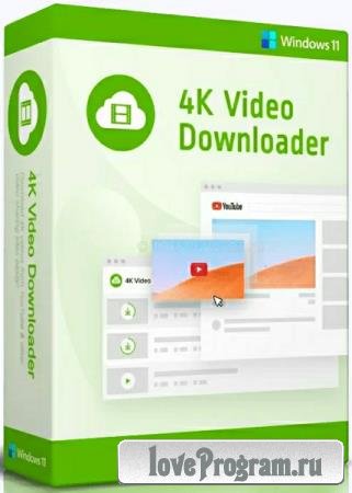 4K Video Downloader 4.29.0.5640 + Portable